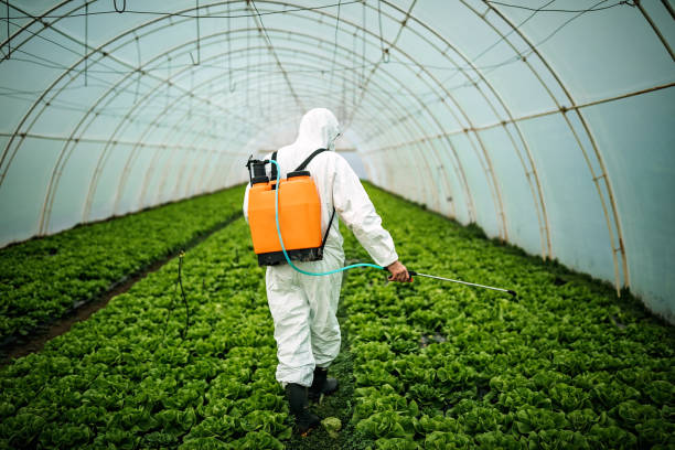Best Residential Pest Control  in Heidelberg, TX