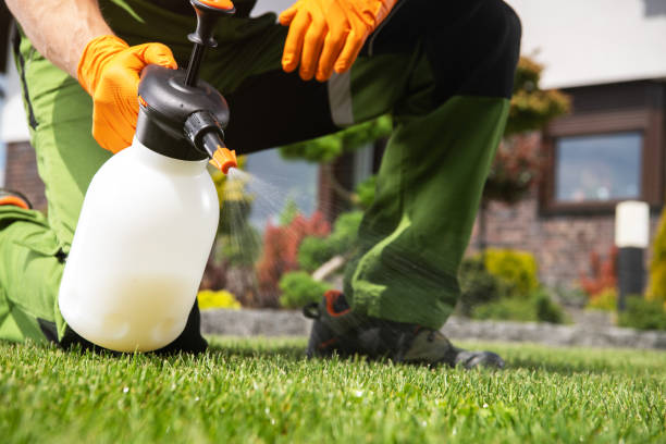 Best Pest Prevention Services  in Heidelberg, TX