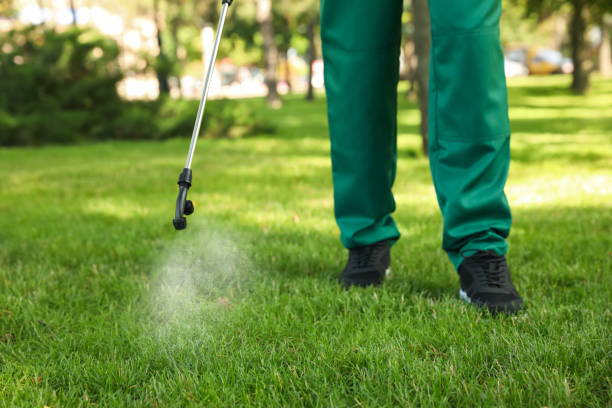 Best Pest Control for Homes  in Heidelberg, TX
