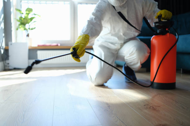 Best Pest Prevention Services  in Heidelberg, TX