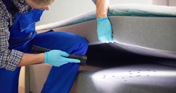 Flea Control Services in Heidelberg, TX