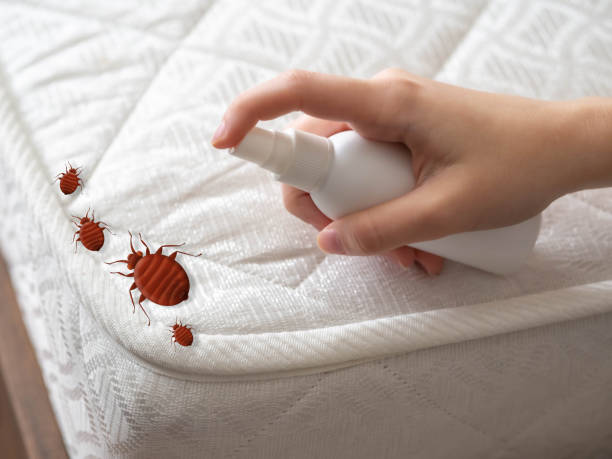  Heidelberg, TX Pest Control Pros