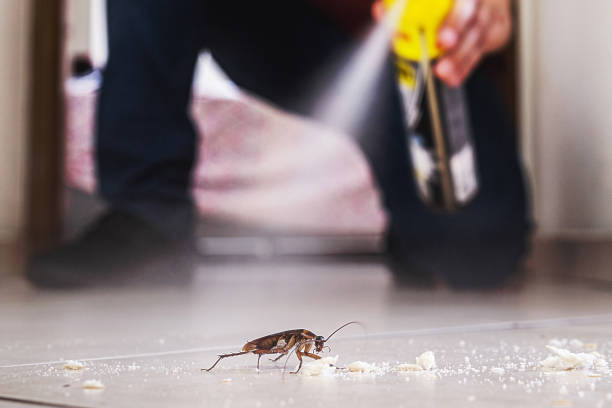Heidelberg, TX Pest Control Company