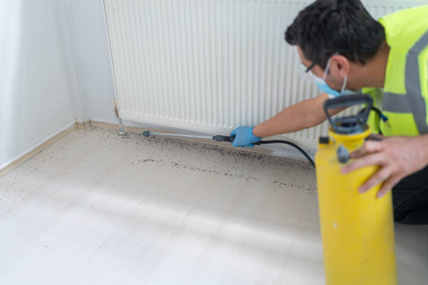 Best Residential Pest Control  in Heidelberg, TX