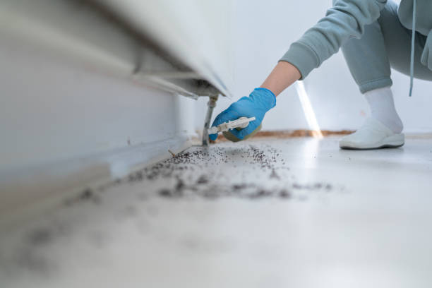 Best Affordable Pest Control Services  in Heidelberg, TX